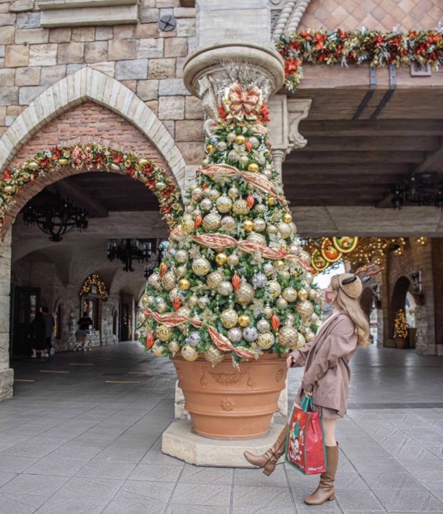 ディズニークリスマス おすすめフォトスポット シー編 Disney Magical Photoblog