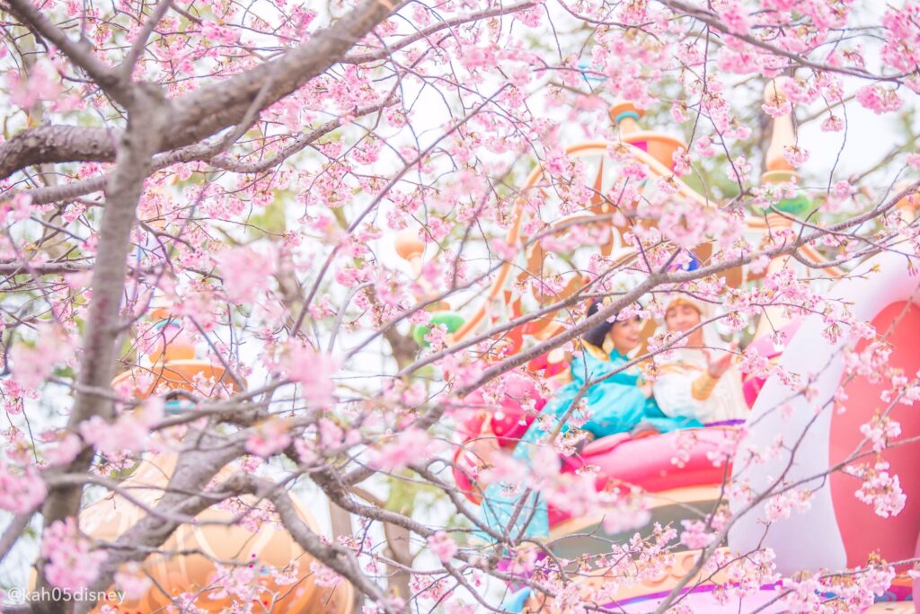 写真で感じる 春の東京ディズニーリゾート Disney Magical Photoblog