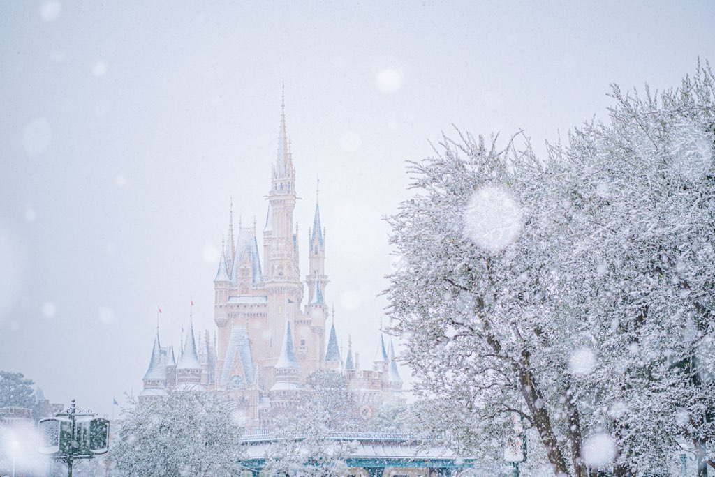 ディズニーランド新エリアに初の積雪 写真で巡る雪の東京ディズニーランド Disney Magical Photoblog